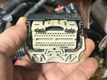 Cargar imagen en el visor de la galería, 40 30 hp Mercury EFI ENGINE WIRING HARNESS 8M0038115 Four Stroke 3 Cylinder 2014 - for one-port ecm/ecu and two-pin ignition coils
