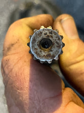 Cargar imagen en el visor de la galería, 60 50 hp Johnson Evinrude 20” GEARCASE ASSY Lower Unit electric shift 0384958 385097 two stroke SR 1971-72
