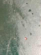 Load image into Gallery viewer, 40 hp Nissan Tohatsu CARBURETOR SET upper 3C8032002 3C8032001 center 3C8032070 3C8032072 bottom 3C8032100 3C8032102 Two Stroke 2002
