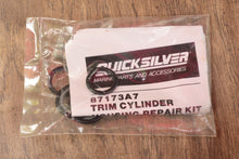 Charger l'image dans la galerie, Mercruiser OEM 87173a7 trim cylinder housing  seal repair kit NLA
